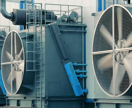 fans 2